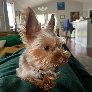 Meet your Posher, Jonathan